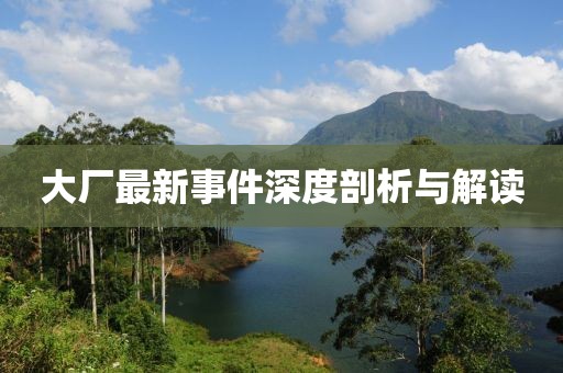 大厂最新事件深度剖析与解读