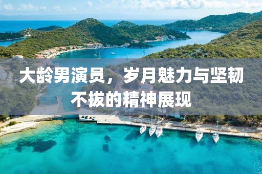 大龄男演员，岁月魅力与坚韧不拔的精神展现