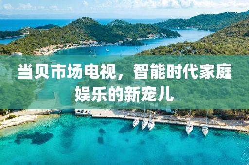 当贝市场电视，智能时代家庭娱乐的新宠儿