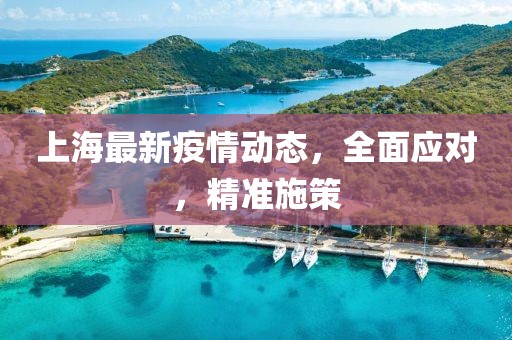 上海最新疫情动态，全面应对，精准施策
