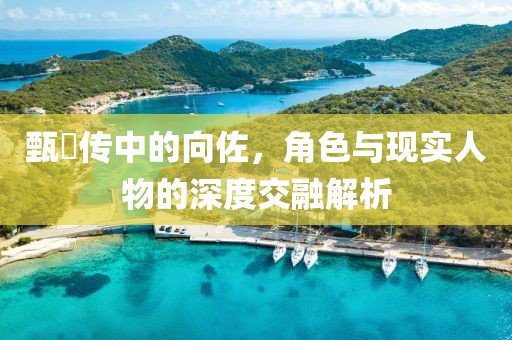 甄嬛传中的向佐，角色与现实人物的深度交融解析