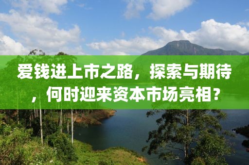 爱钱进上市之路，探索与期待，何时迎来资本市场亮相？
