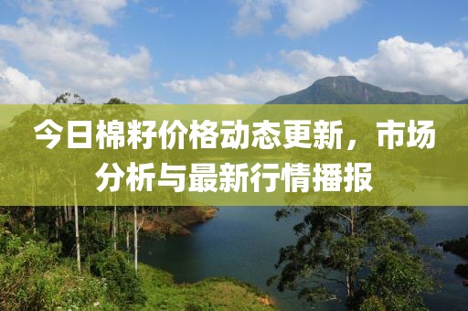 今日棉籽价格动态更新，市场分析与最新行情播报