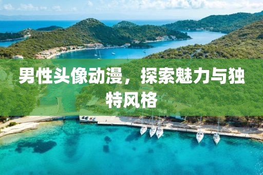 男性头像动漫，探索魅力与独特风格