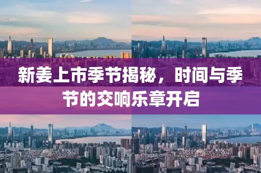 给个笑的机会 第6页