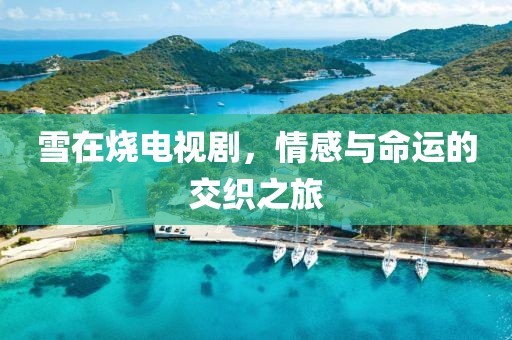 雪在烧电视剧，情感与命运的交织之旅