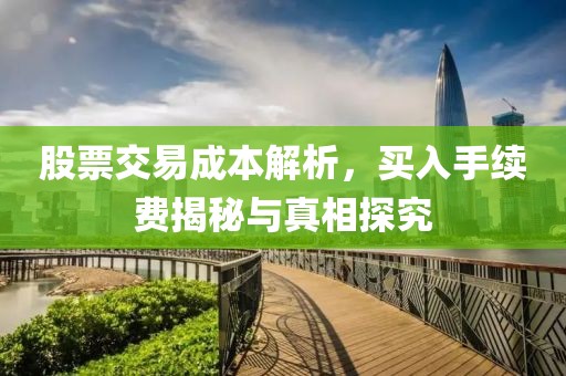 股票交易成本解析，买入手续费揭秘与真相探究