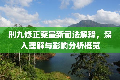 刑九修正案最新司法解释，深入理解与影响分析概览
