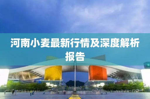 河南小麦最新行情及深度解析报告