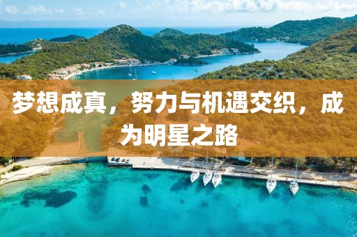 梦想成真，努力与机遇交织，成为明星之路