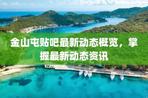金山屯贴吧最新动态概览，掌握最新动态资讯