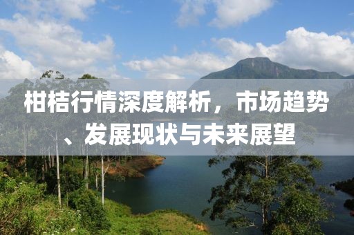 柑桔行情深度解析，市场趋势、发展现状与未来展望