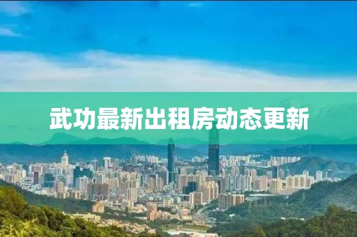 武功最新出租房动态更新