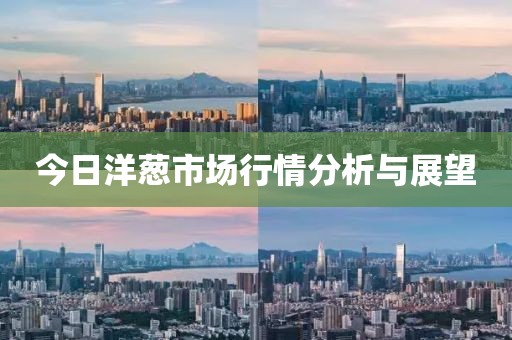 今日洋葱市场行情分析与展望