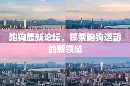 跑狗最新论坛，探索跑狗运动的新领域