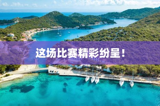 这场比赛精彩纷呈！