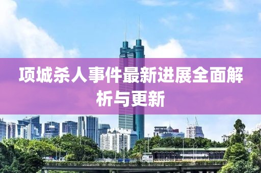 项城杀人事件最新进展全面解析与更新