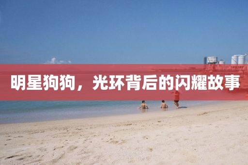 明星狗狗，光环背后的闪耀故事