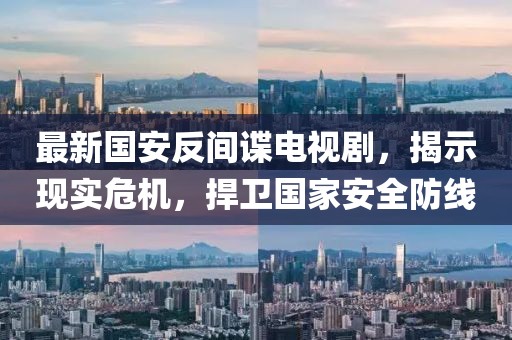 最新国安反间谍电视剧，揭示现实危机，捍卫国家安全防线