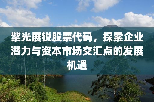 紫光展锐股票代码，探索企业潜力与资本市场交汇点的发展机遇