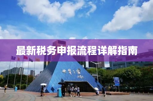 最新税务申报流程详解指南