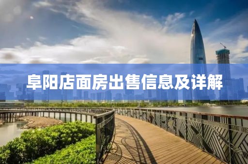 两把枪闯天下 第7页