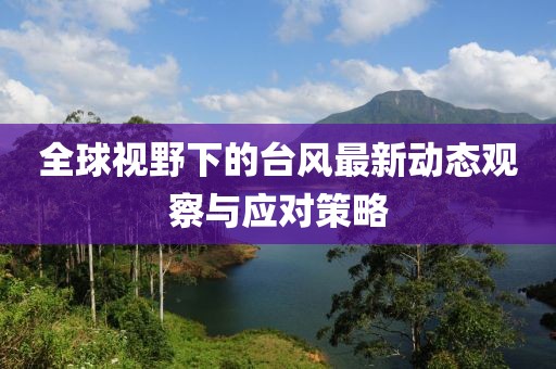 全球视野下的台风最新动态观察与应对策略