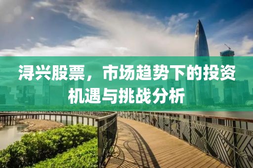 浔兴股票，市场趋势下的投资机遇与挑战分析