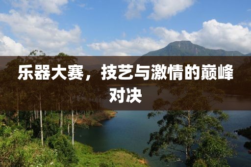 乐器大赛，技艺与激情的巅峰对决