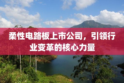 柔性电路板上市公司，引领行业变革的核心力量
