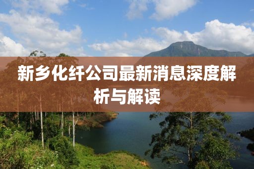 新乡化纤公司最新消息深度解析与解读