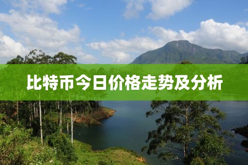 比特币今日价格走势及分析
