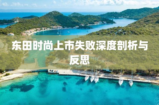 东田时尚上市失败深度剖析与反思