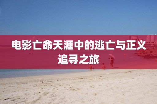 电影亡命天涯中的逃亡与正义追寻之旅