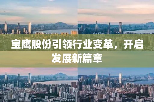 宝鹰股份引领行业变革，开启发展新篇章
