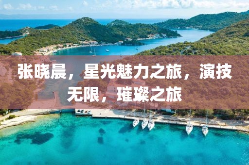 张晓晨，星光魅力之旅，演技无限，璀璨之旅