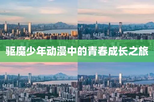 驱魔少年动漫中的青春成长之旅
