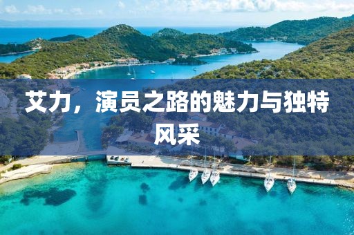 艾力，演员之路的魅力与独特风采