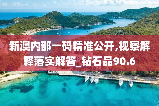 新澳内部一码精准公开,视察解释落实解答_钻石品90.6