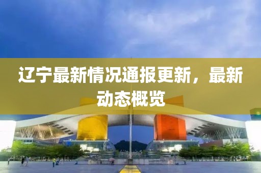 辽宁最新情况通报更新，最新动态概览