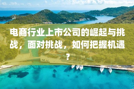 电商行业上市公司的崛起与挑战，面对挑战，如何把握机遇？