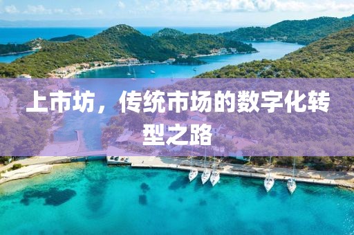 上市坊，传统市场的数字化转型之路