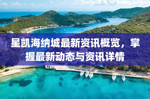 星凯海纳城最新资讯概览，掌握最新动态与资讯详情