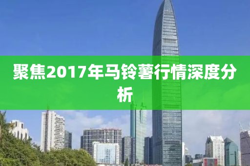 聚焦2017年马铃薯行情深度分析