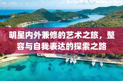 明星内外兼修的艺术之旅，整容与自我表达的探索之路