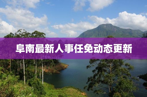 阜南最新人事任免动态更新