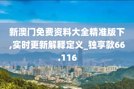 新澳门免费资料大全精准版下,实时更新解释定义_独享款66.116