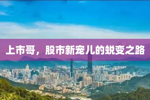 上市哥，股市新宠儿的蜕变之路