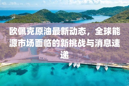 欧佩克原油最新动态，全球能源市场面临的新挑战与消息速递
