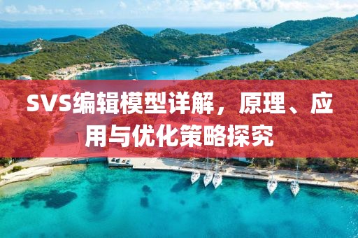 SVS编辑模型详解，原理、应用与优化策略探究